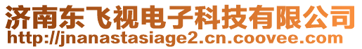 濟(jì)南東飛視電子科技有限公司