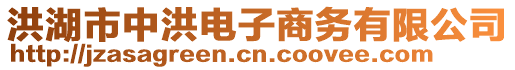 洪湖市中洪電子商務(wù)有限公司