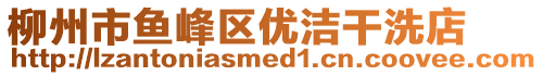 柳州市魚峰區(qū)優(yōu)潔干洗店