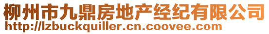 柳州市九鼎房地產(chǎn)經(jīng)紀有限公司