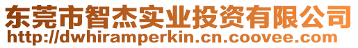 東莞市智杰實(shí)業(yè)投資有限公司
