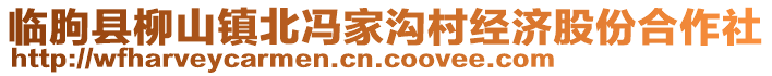 臨朐縣柳山鎮(zhèn)北馮家溝村經濟股份合作社