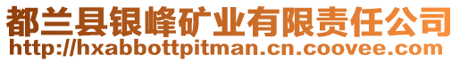 都蘭縣銀峰礦業(yè)有限責(zé)任公司