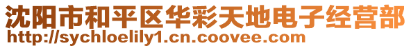 沈陽市和平區華彩天地電子經營部