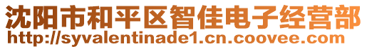 沈陽市和平區智佳電子經營部