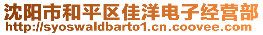 沈陽市和平區佳洋電子經營部