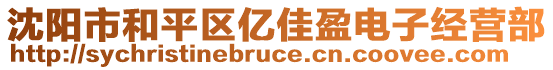 沈陽市和平區(qū)億佳盈電子經(jīng)營部