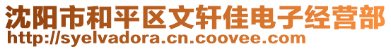 沈陽市和平區文軒佳電子經營部