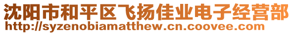 沈陽市和平區(qū)飛揚佳業(yè)電子經(jīng)營部