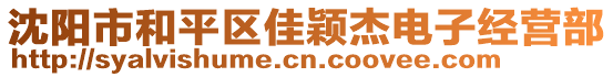 沈陽市和平區佳穎杰電子經營部