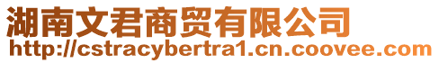 湖南文君商貿(mào)有限公司