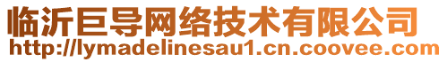 臨沂巨導網(wǎng)絡(luò)技術(shù)有限公司