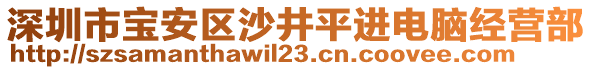 深圳市寶安區(qū)沙井平進(jìn)電腦經(jīng)營(yíng)部