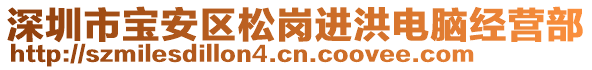 深圳市寶安區(qū)松崗進洪電腦經(jīng)營部