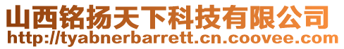 山西銘揚天下科技有限公司