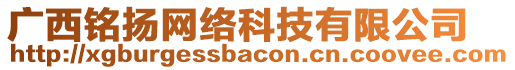 廣西銘揚(yáng)網(wǎng)絡(luò)科技有限公司