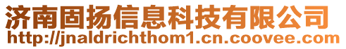 濟南固揚信息科技有限公司