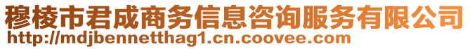 穆棱市君成商務(wù)信息咨詢服務(wù)有限公司