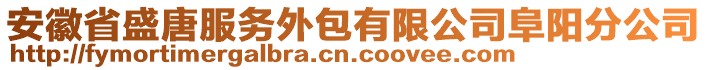 安徽省盛唐服務(wù)外包有限公司阜陽分公司