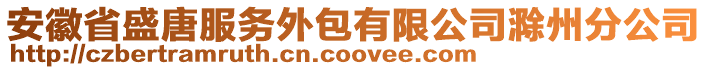 安徽省盛唐服務外包有限公司滁州分公司