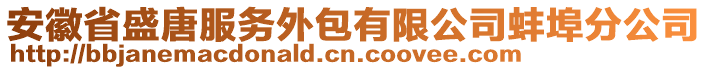 安徽省盛唐服務外包有限公司蚌埠分公司