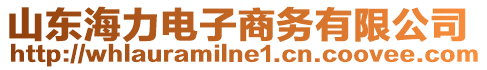 山東海力電子商務(wù)有限公司