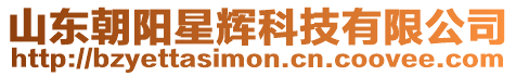 山東朝陽星輝科技有限公司