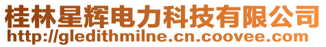 桂林星輝電力科技有限公司