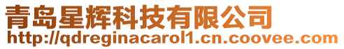 青島星輝科技有限公司