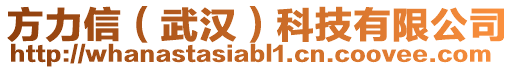 方力信(武漢)科技有限公司
