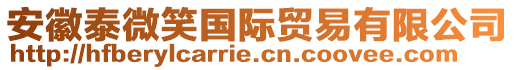 安徽泰微笑國(guó)際貿(mào)易有限公司