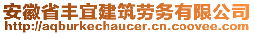 安徽省豐宜建筑勞務有限公司