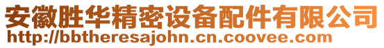 安徽勝華精密設備配件有限公司