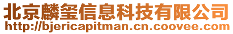 北京麟玺信息科技有限公司