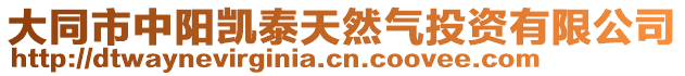 大同市中陽凱泰天然氣投資有限公司