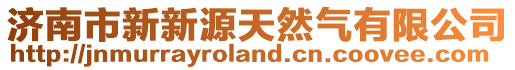 濟(jì)南市新新源天然氣有限公司