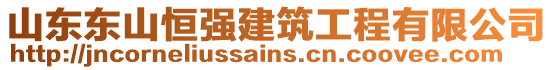 山東東山恒強(qiáng)建筑工程有限公司