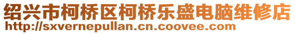 紹興市柯橋區(qū)柯橋樂盛電腦維修店