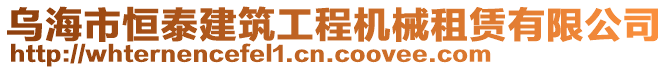 烏海市恒泰建筑工程機(jī)械租賃有限公司