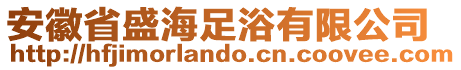 安徽省盛海足浴有限公司