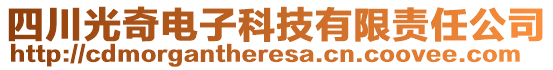 四川光奇電子科技有限責(zé)任公司