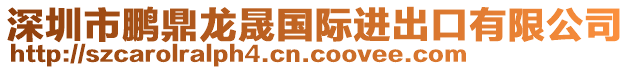 深圳市鵬鼎龍晟國際進(jìn)出口有限公司