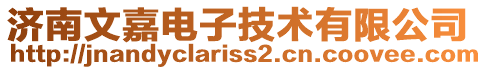 濟(jì)南文嘉電子技術(shù)有限公司