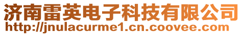 濟(jì)南雷英電子科技有限公司