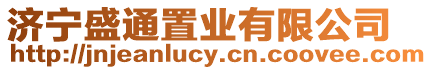 濟寧盛通置業(yè)有限公司