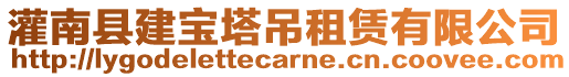 灌南縣建寶塔吊租賃有限公司
