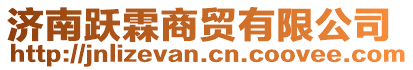 濟南躍霖商貿有限公司