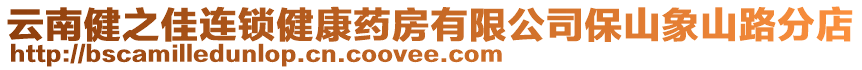 云南健之佳連鎖健康藥房有限公司保山象山路分店