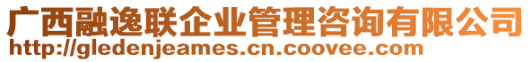 廣西融逸聯(lián)企業(yè)管理咨詢有限公司