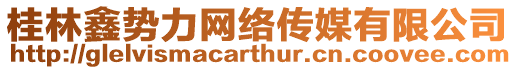 桂林鑫勢力網絡傳媒有限公司